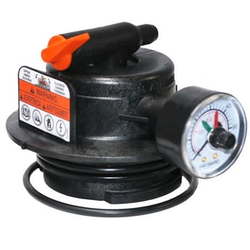 Hayward Manual Air Relief Assembly | DEX2420MAR2 - Pool Filter Parts - img - 1