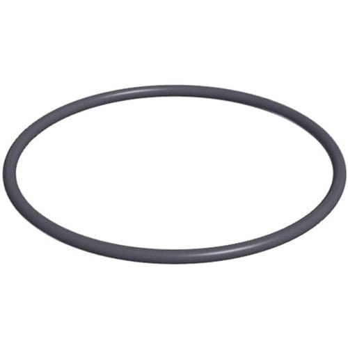 Hayward PowerFlo O - Ring | SPX1500P - Hayward - img - 1