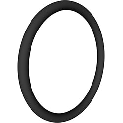 Hayward Pro Series Bulkhead O - Ring | SX360Z1 - Pool Filter Parts - img - 1