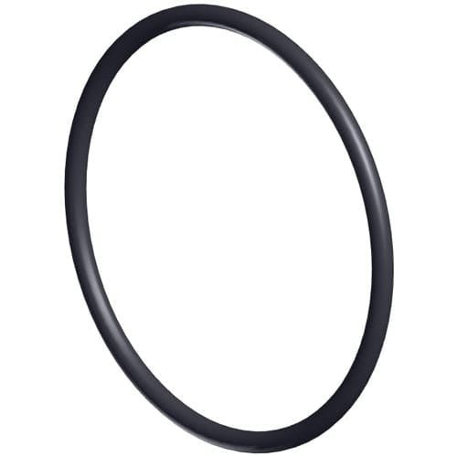 Hayward Pump Strainer O - Ring | SPX1500W - Pump Parts - img - 1