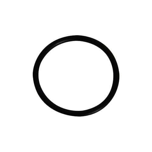 Hayward SP1022C Plug O - Ring | SPX1022CZ2 - Pool Filter Parts - img - 1