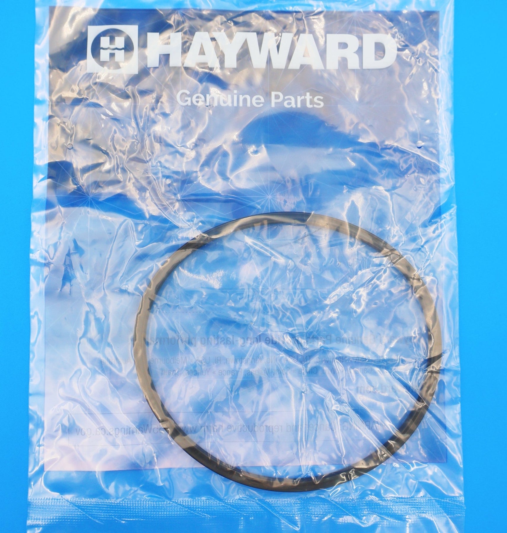 Hayward Special Composition Viton O - Ring for CL200/CL220 Chlorine Feeders CLX200K - Chemical Feeders - img - 4