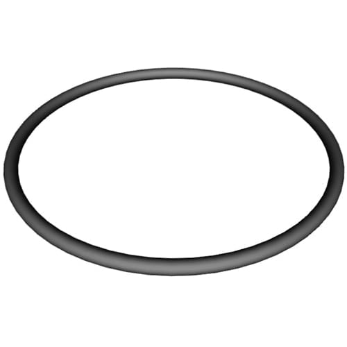 Hayward Super II Pump Strainer Cover O - Ring | SPX3000S - Pump Parts - img - 1