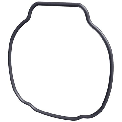 Hayward TriStar & EcoStar Pump Housing O - Ring | SPX3200T - Pump Parts - img - 1