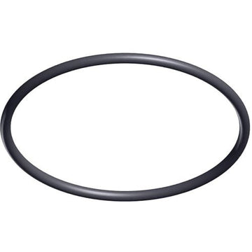 Hayward TriStar & EcoStar Pump Strainer Cover O - Ring | SPX3200S - Pump Parts - img - 1