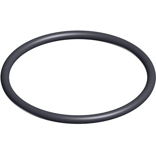 Hayward Valve O - Ring, 2/Pack | SX200Z4PAK2 - Pool Filter Parts - img - 1