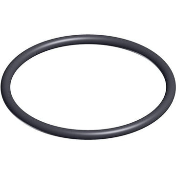 Hayward Valve O - Ring, 2/Pack | SX200Z4PAK2 - Pool Filter Parts - img - 1