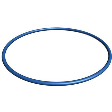 Hayward Valve/Tank O - Ring | GMX600F - Hayward - img - 1
