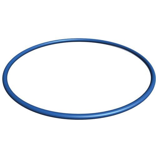 Hayward Valve/Tank O - Ring | GMX600F - Hayward - img - 1
