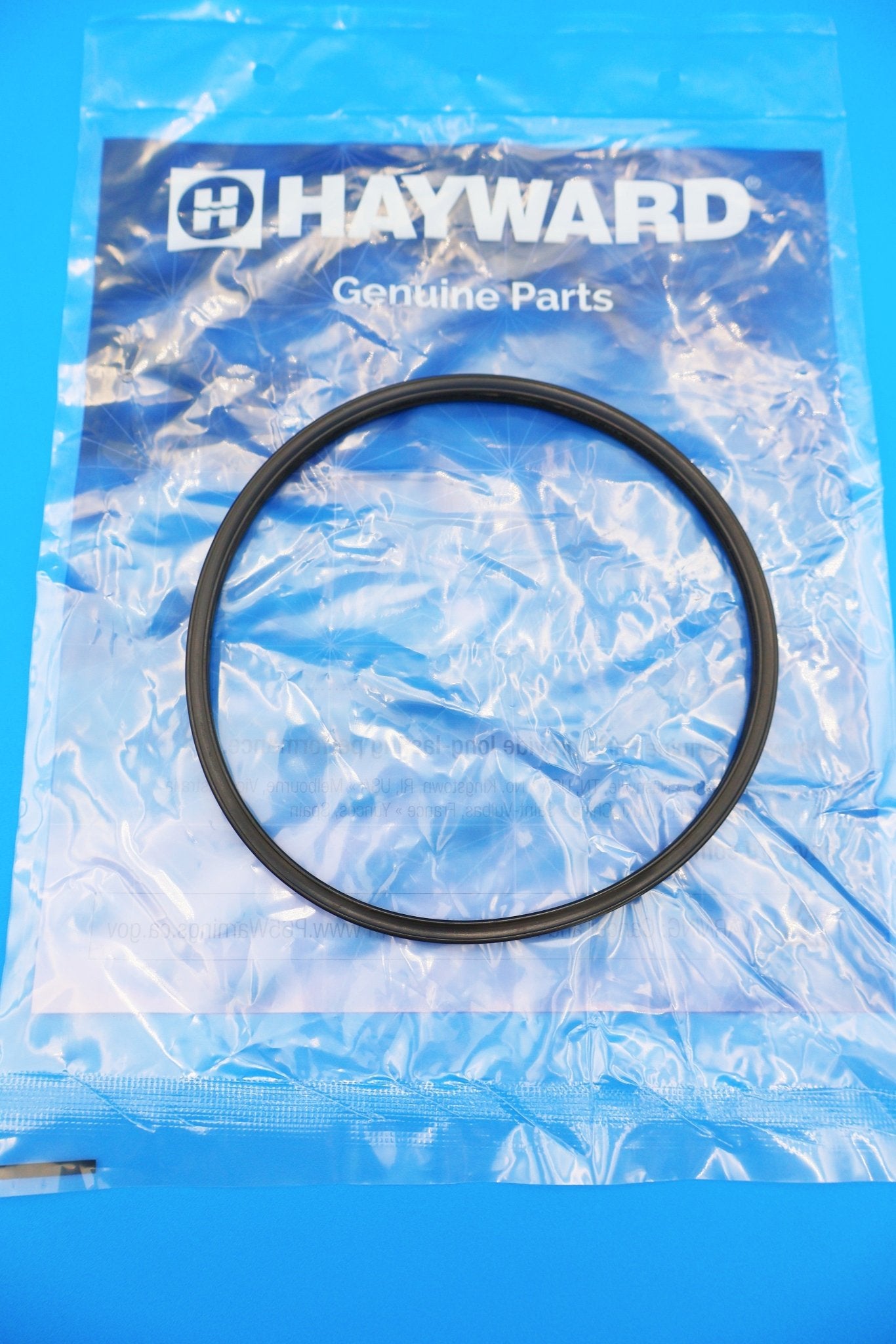 Hayward Viton O - Ring for CL200/CL220 Chlorine Feeders | CLX200K - Chlorinator Parts - img - 3