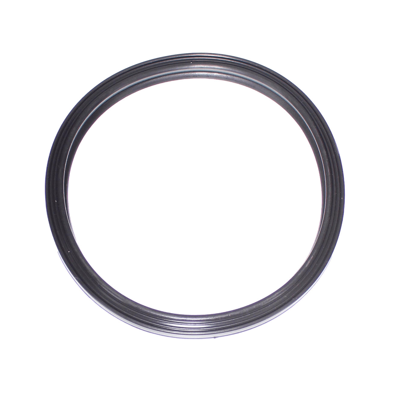 Jandy Pool Light Gasket, Silicon | R0790500 - Pool Lights - img - 1