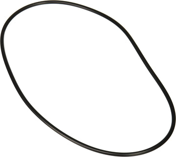 Jandy Pro Series Backplate O - Ring | R0446300 - Pump Parts - img - 1