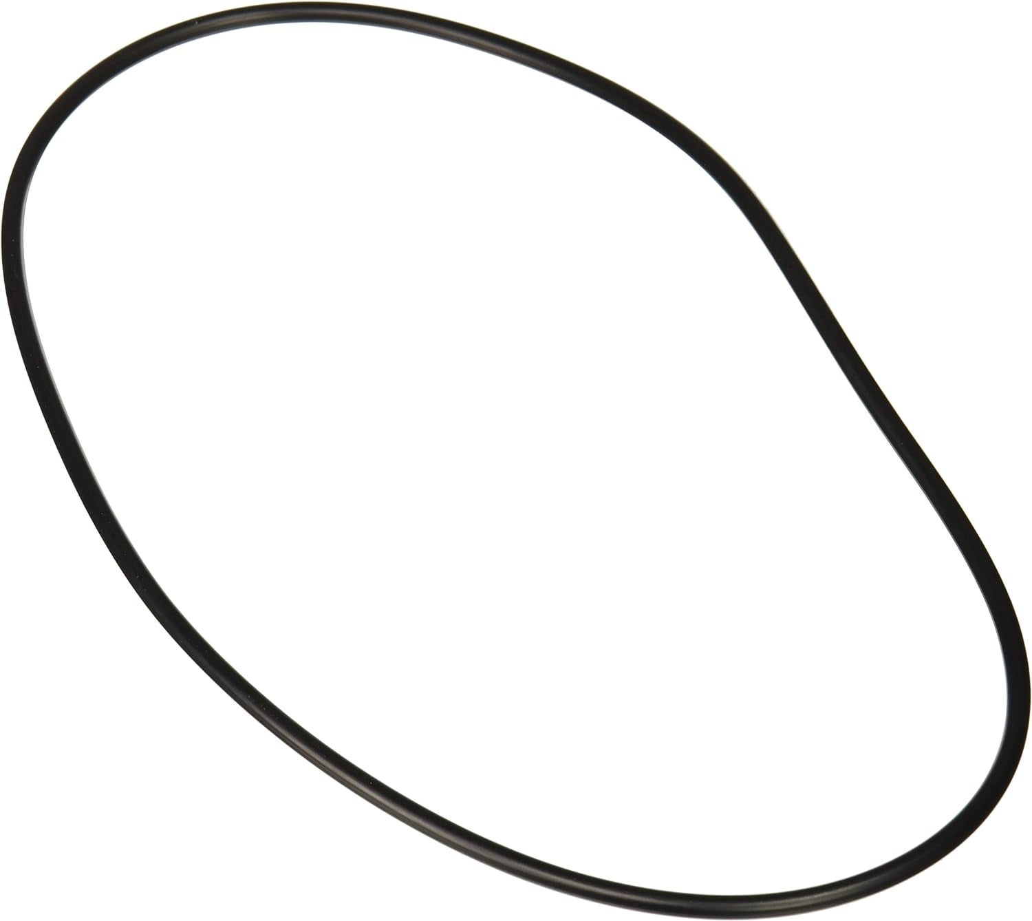 Jandy Pro Series Backplate O - Ring | R0446300 - Pump Parts - img - 1