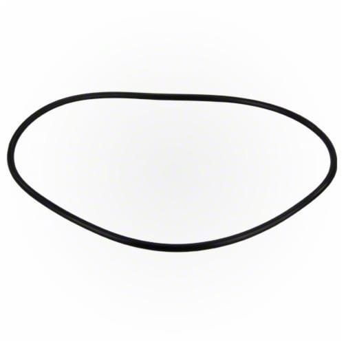 Jandy Pro Series FHP Backplate O - Ring | R0480300 - Pump Parts - img - 1