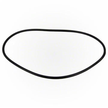 Jandy Pro Series FHP Backplate O - Ring | R0480300 - Pump Parts - img - 1