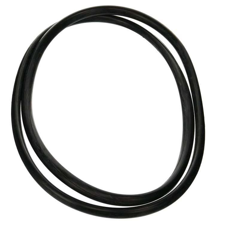 Jandy Pro Series Tank O - Ring | R0357800 - Pool Filter Parts - img - 1