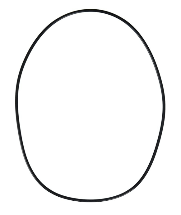 Pentair (A&A) Low Profile Valve O - Ring 230046Z - In Floor Cleaning System Valve Parts - img - 1