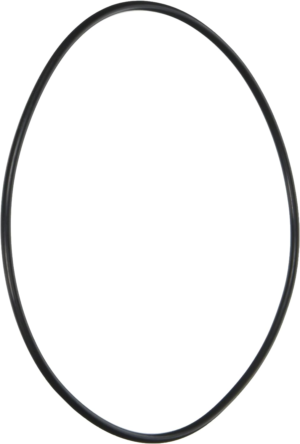 Pentair Booster Pump Seal Bracket O - Ring | LA415 - Pump Parts - img - 1