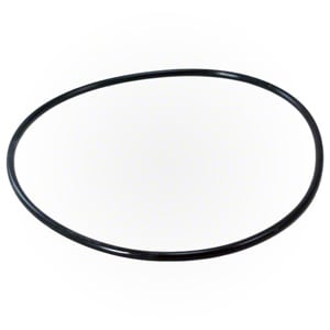 Pentair Clean & Clear/Posi - Clear/Predator Tank O - Ring | 87300400Z - Pool Filter Parts - img - 1