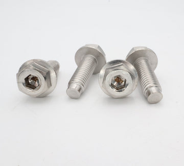 Pentair IntelliFlo3 Motor Bolts 4-Pack 074165Z - Pool Pump Parts - img-1