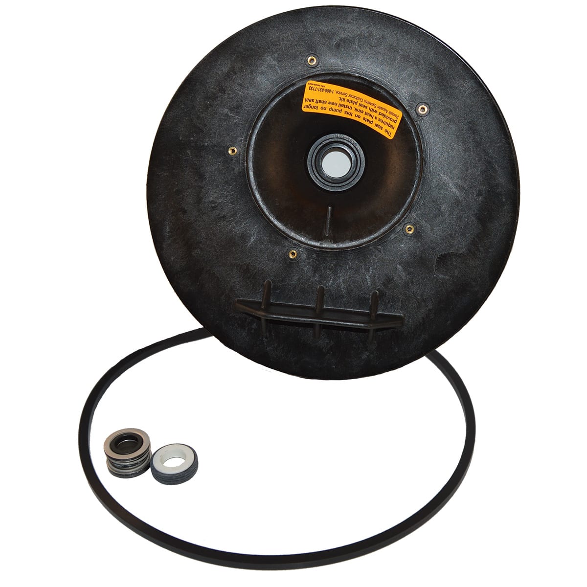 Pentair Max - E/Dura Glas Seal Plate Kit | C203 - 193P - Pump Parts - img - 1