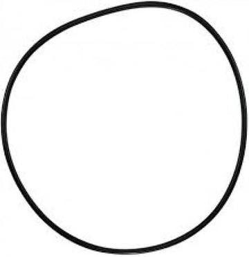 Pentair O - Ring C - 18 | 071433 - Pump Parts - img - 1