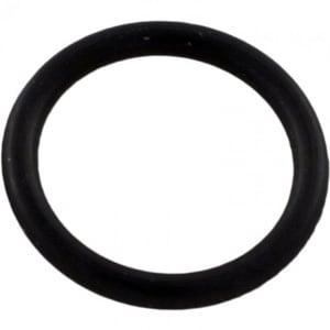 Pentair O - Ring Drain Plug | 192115Z - Pump Parts - img - 1