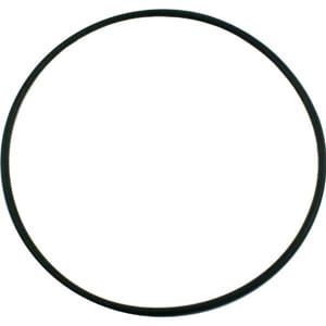 Pentair Pinnacle/SuperFlo Seal Plate O - Ring | 355619Z - Pump Parts - img - 1