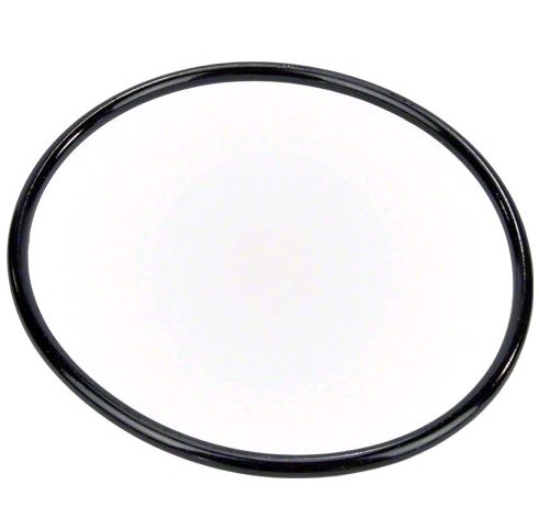 Pentair Pump Lid O - Ring | 350013Z - Pump Parts - img - 1