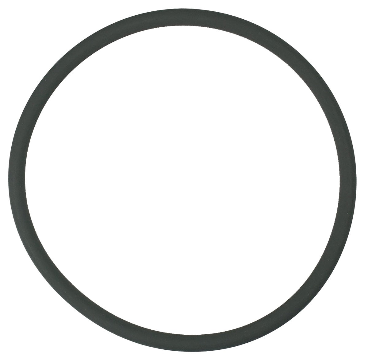 Pentair Rainbow 3" Cap O - Ring | R172009Z - Chlorinators - img - 1