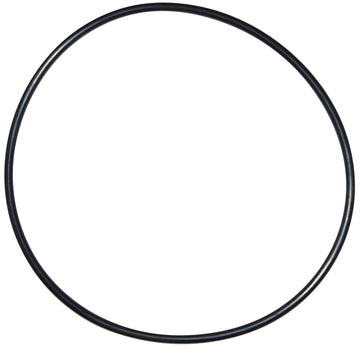 Pentair Seal Plate O - Ring | U9 - 228AZ - Pump Parts - img - 1