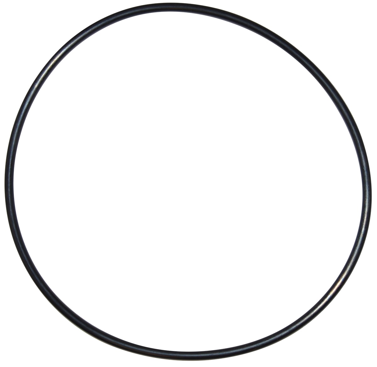 Pentair Seal Plate O - Ring | U9 - 228AZ - Pump Parts - img - 1