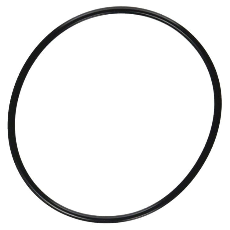 Pentair SuperFlo Strainer O - Ring | 357255Z - Pump Parts - img - 1
