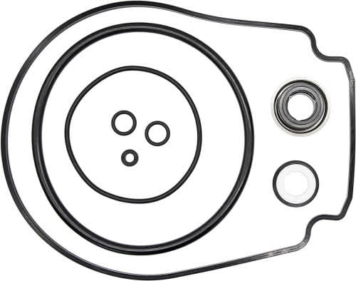 Pentair WhisperFlo/IntelliFlo Pump Seal Set | 356198 - Pump Parts - img - 1