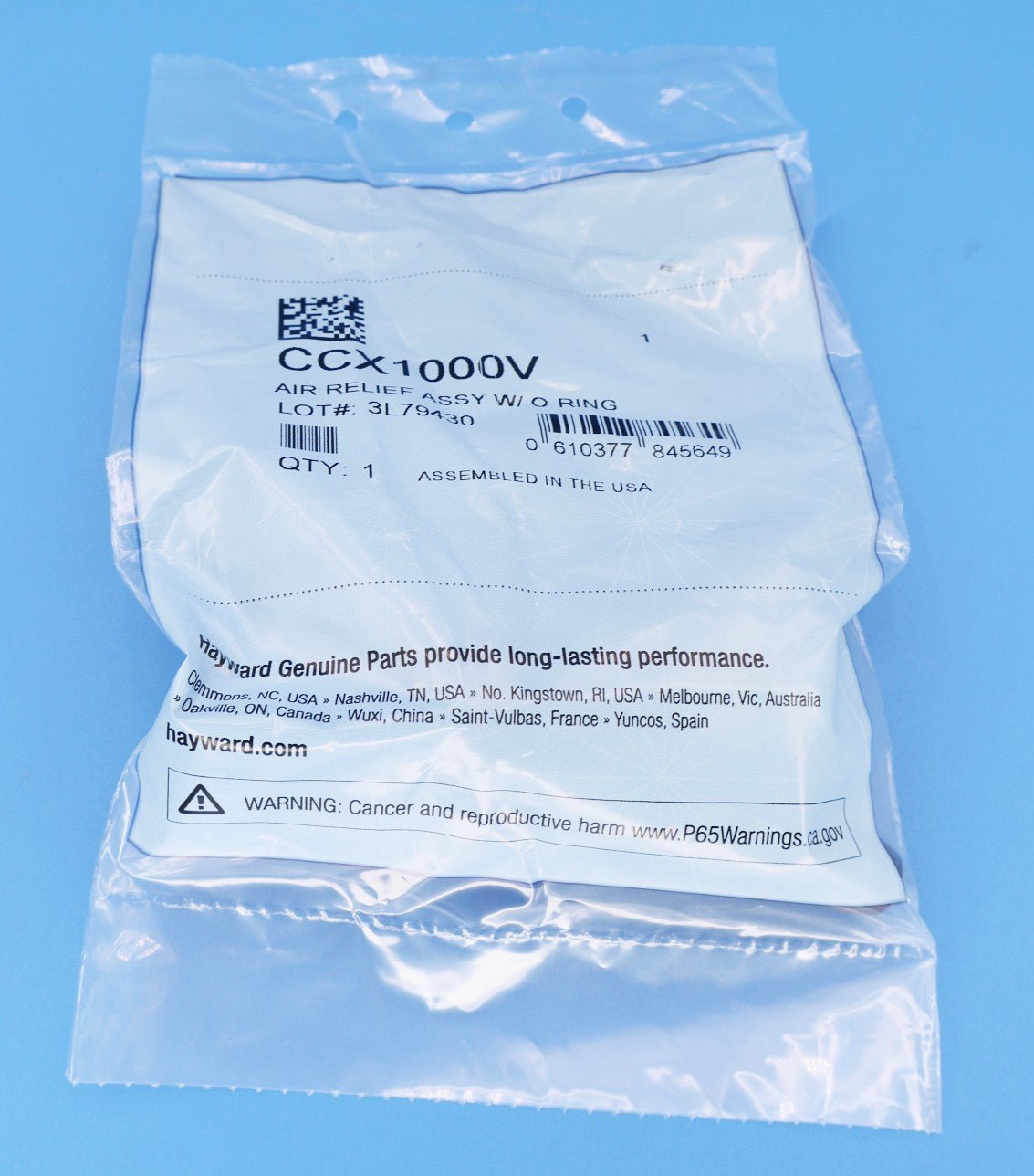 Hayward Manual Air Relief Valve for XStream Cartridge Filter CCX1000V - Pool Filter Parts - img-6