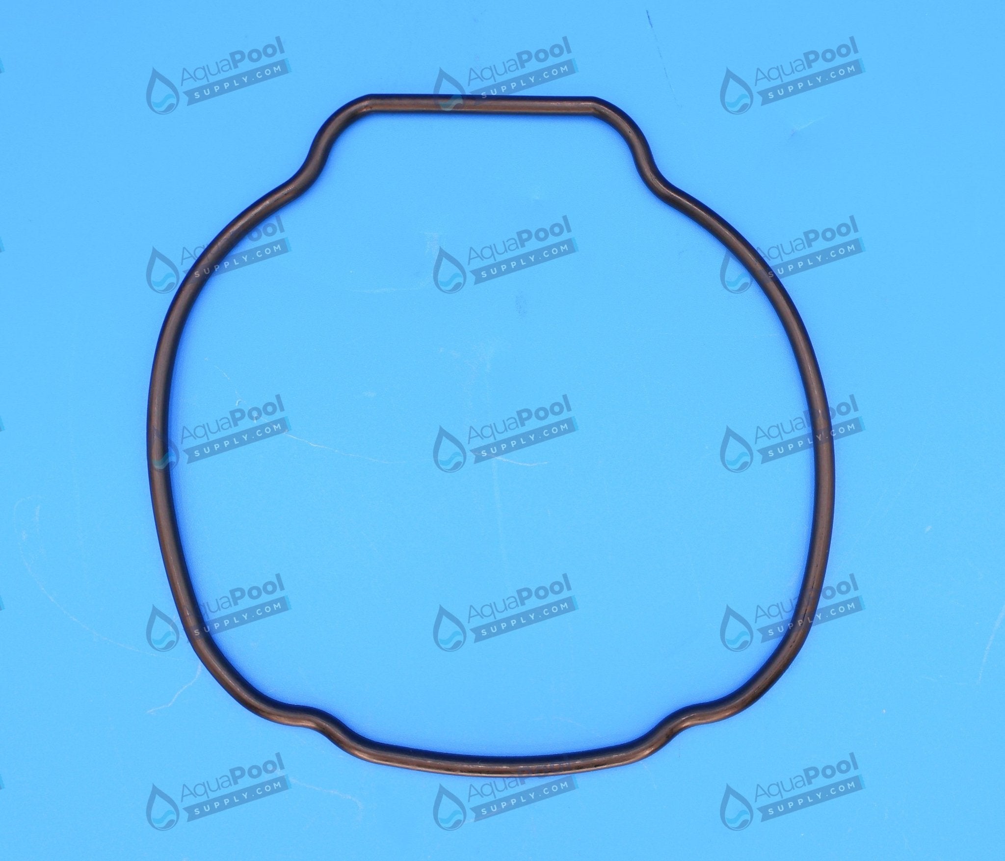 Hayward Replacement O-ring for EcoStar/TriStar Pump Housing (Seal Plate) SPX3200T - img-1