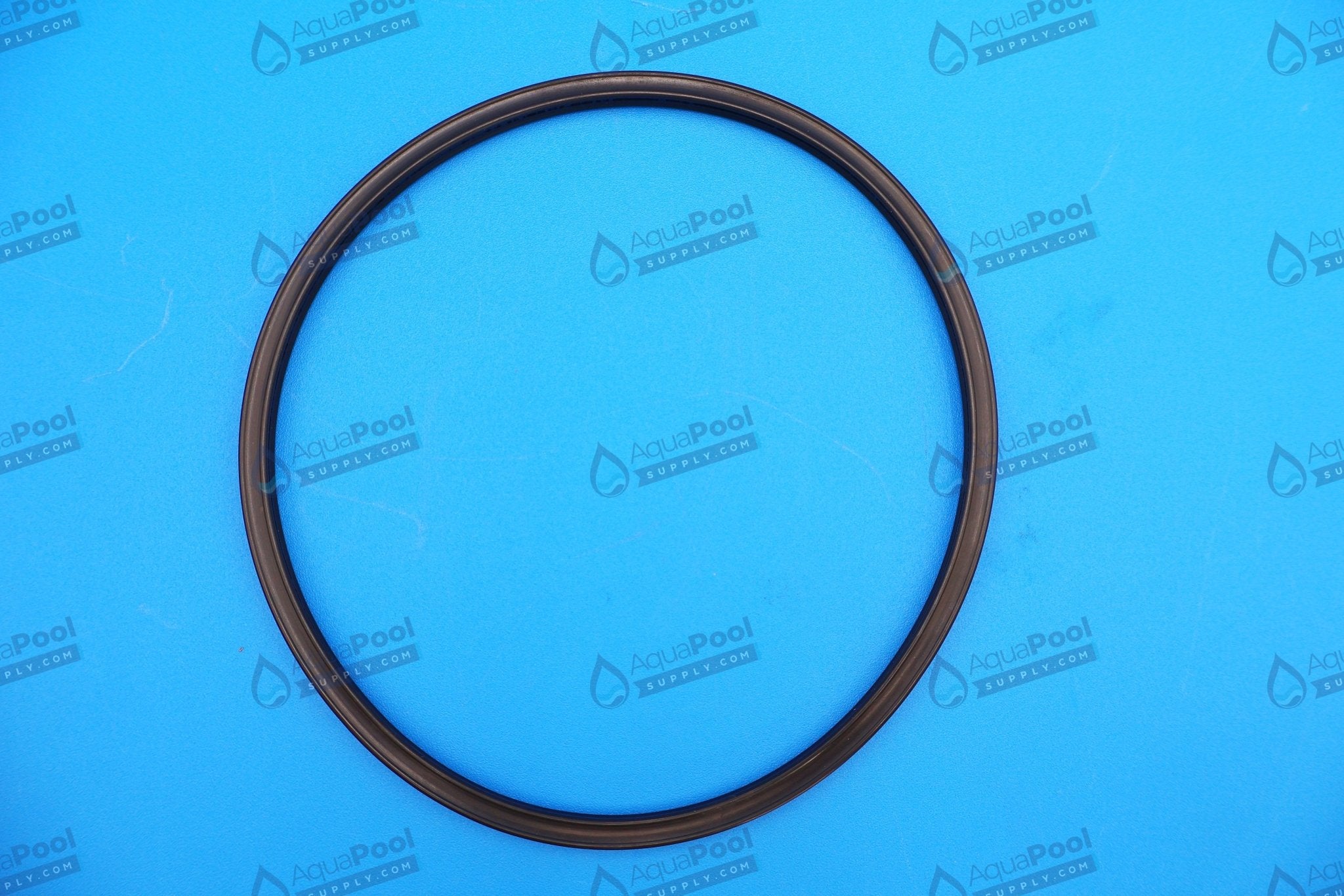Hayward Special Composition Viton O-Ring for CL200/CL220 Chlorine Feeders CLX200K - img-1