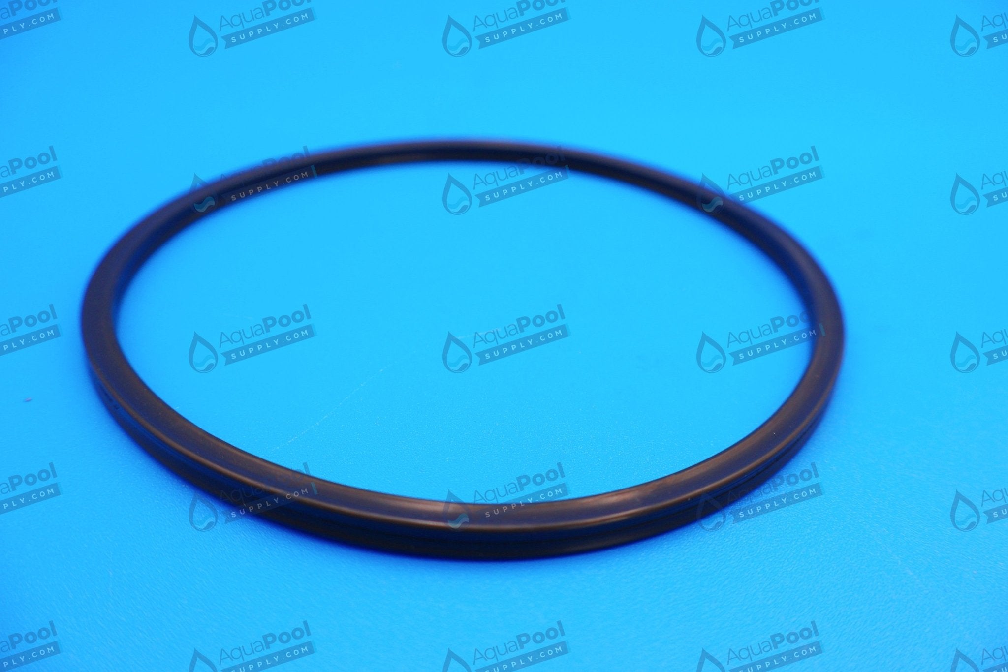 Hayward Special Composition Viton O-Ring for CL200/CL220 Chlorine Feeders CLX200K - img-2