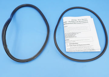 Jandy ePump Lid Seal & O-Ring R0446200 - Pool Pump Parts - img-1