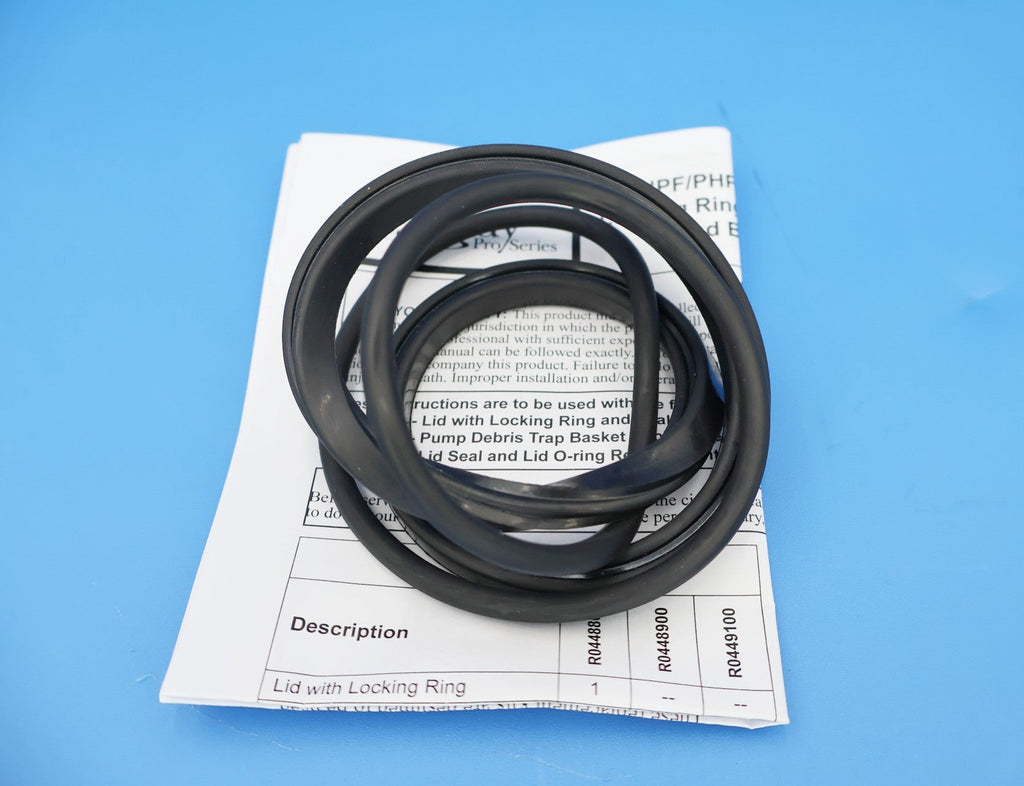 Jandy VS PlusHP PHP Lid Seal & O-Ring R0449100