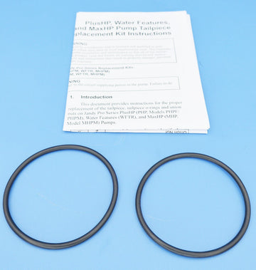 Jandy VS PlusHP Union O-Rings 2-Pack R0449200 - Pool Pump Parts - img-1
