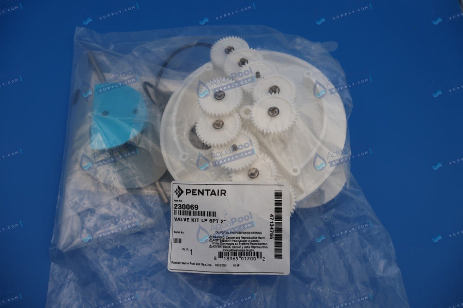 Pentair A&A 2" Low Profile 6 Port TValve Rebuild Gear Kit 230069 582928
