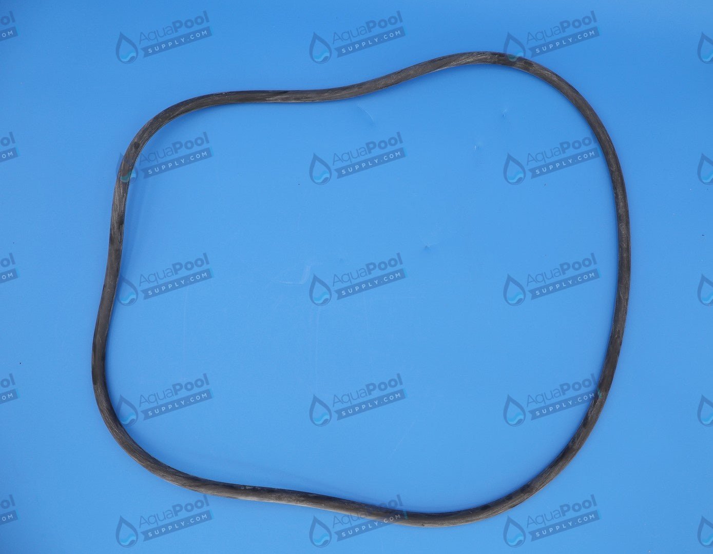 Pentair Clean and Clear® Plus and FNS Tank O-Ring 39010200z - Pool Filter Parts