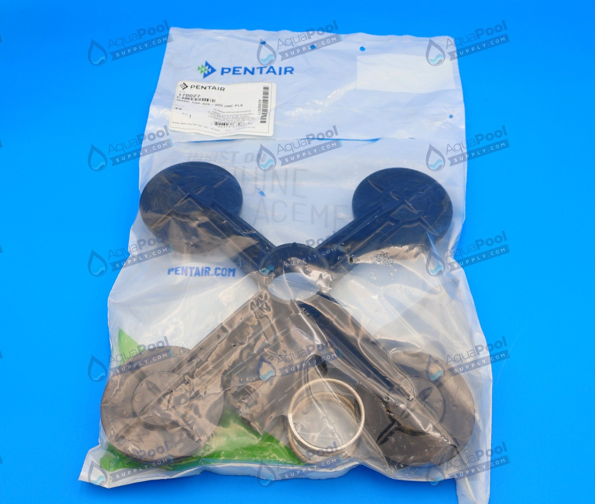 Pentair Clean & Clear Plus Top Manifold s/ Short Adapter 170027 - Pool Filter Parts - img-4