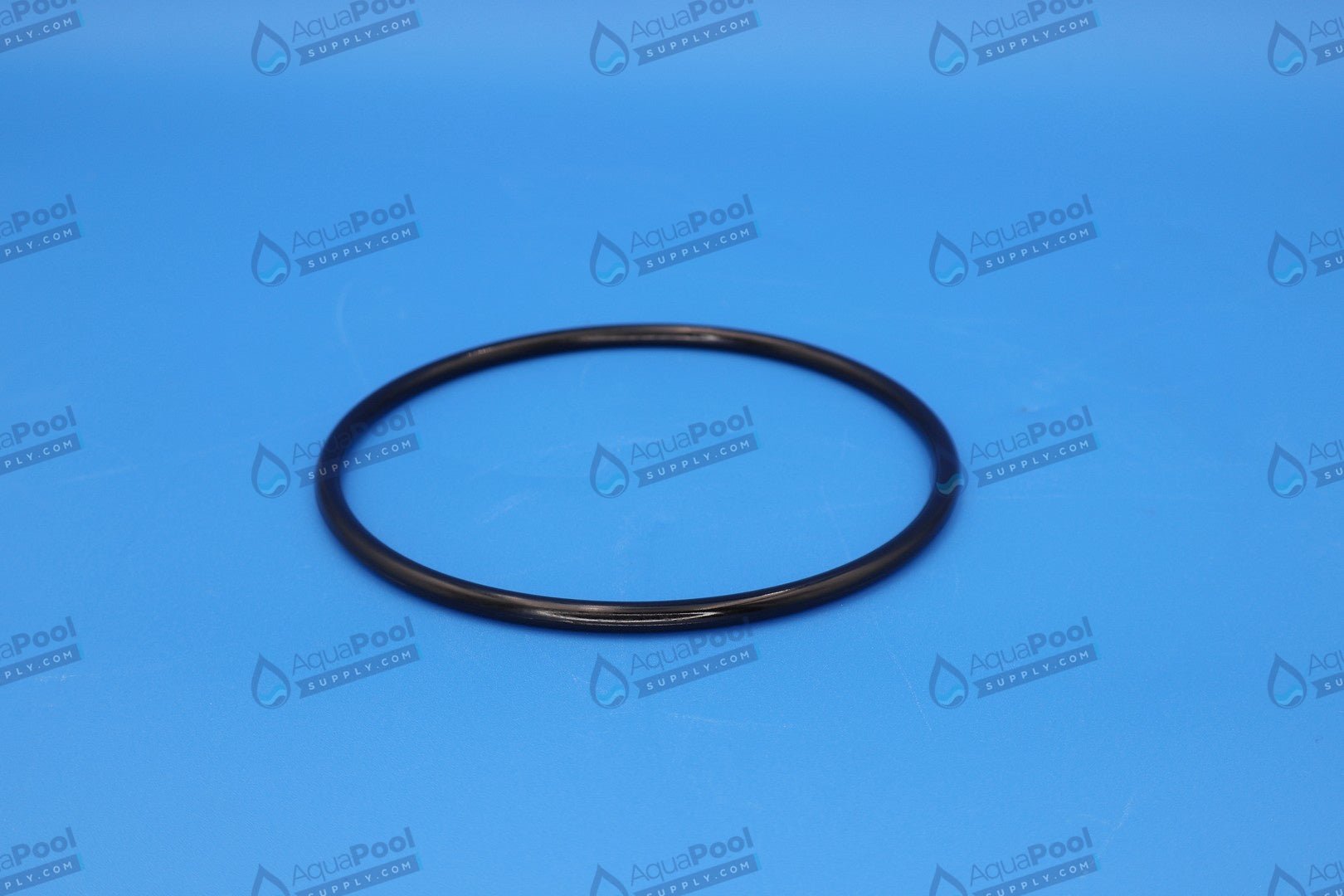 Pentair Lid O-Ring for Pentair Whisperflo, Challenger, IntelliFlo 350013Z - Pump Parts - img-1