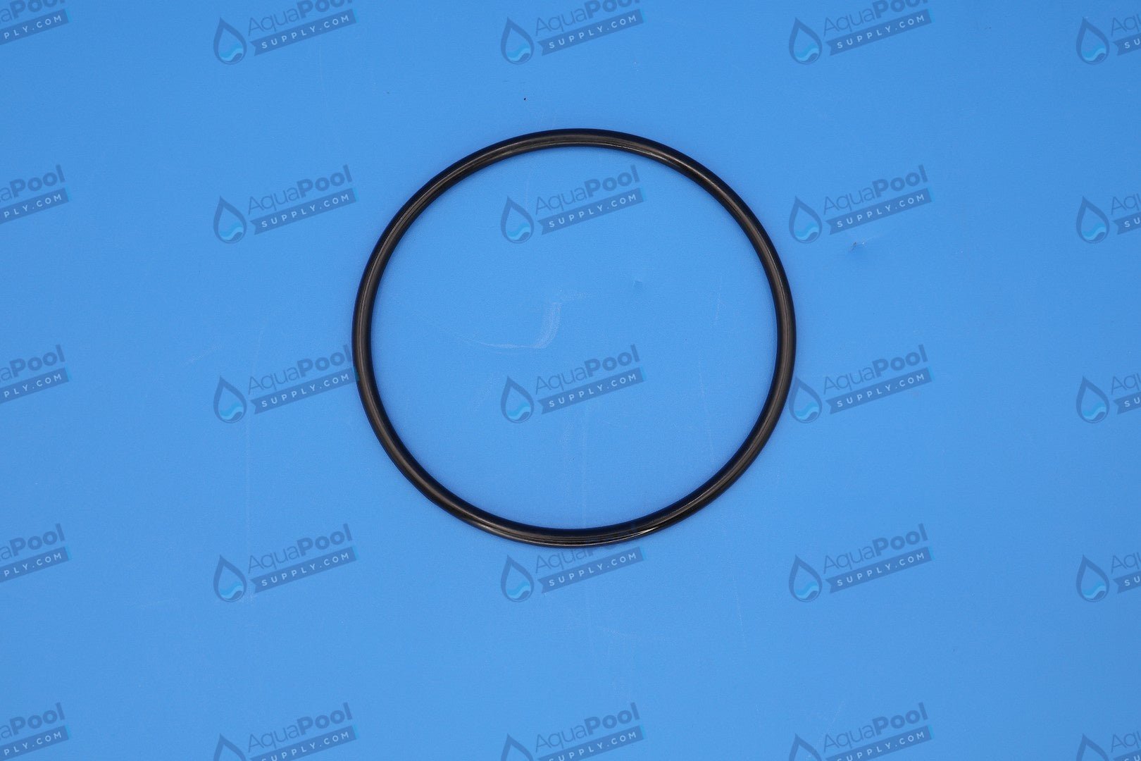 Pentair Lid O-Ring for Pentair Whisperflo, Challenger, IntelliFlo 350013Z - Pump Parts - img-2