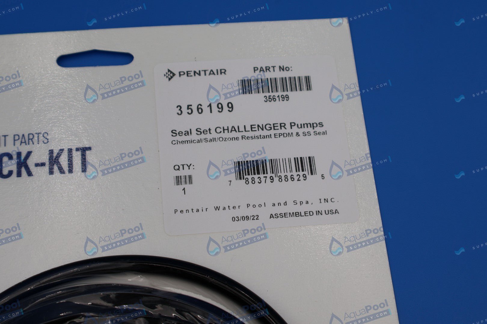 Pentair Pump Seal Kit for Challenger Pump 356199 - Pool Pump Parts - img-4