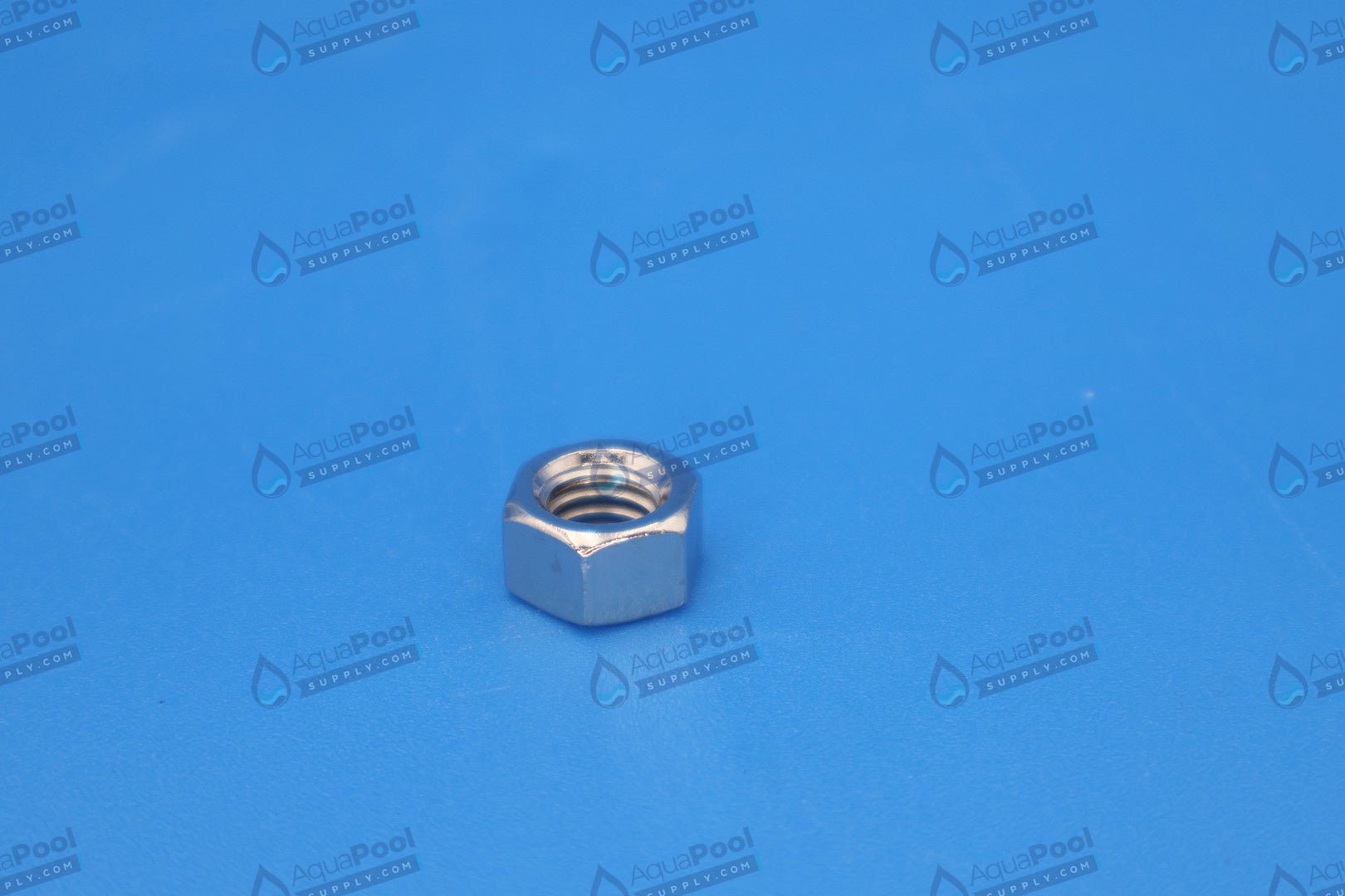 Pentair Whisperflo and Intelliflo Brass Nickel Plated Hex Head Nut Replacement 071403 - Pool Pump Parts - img-1