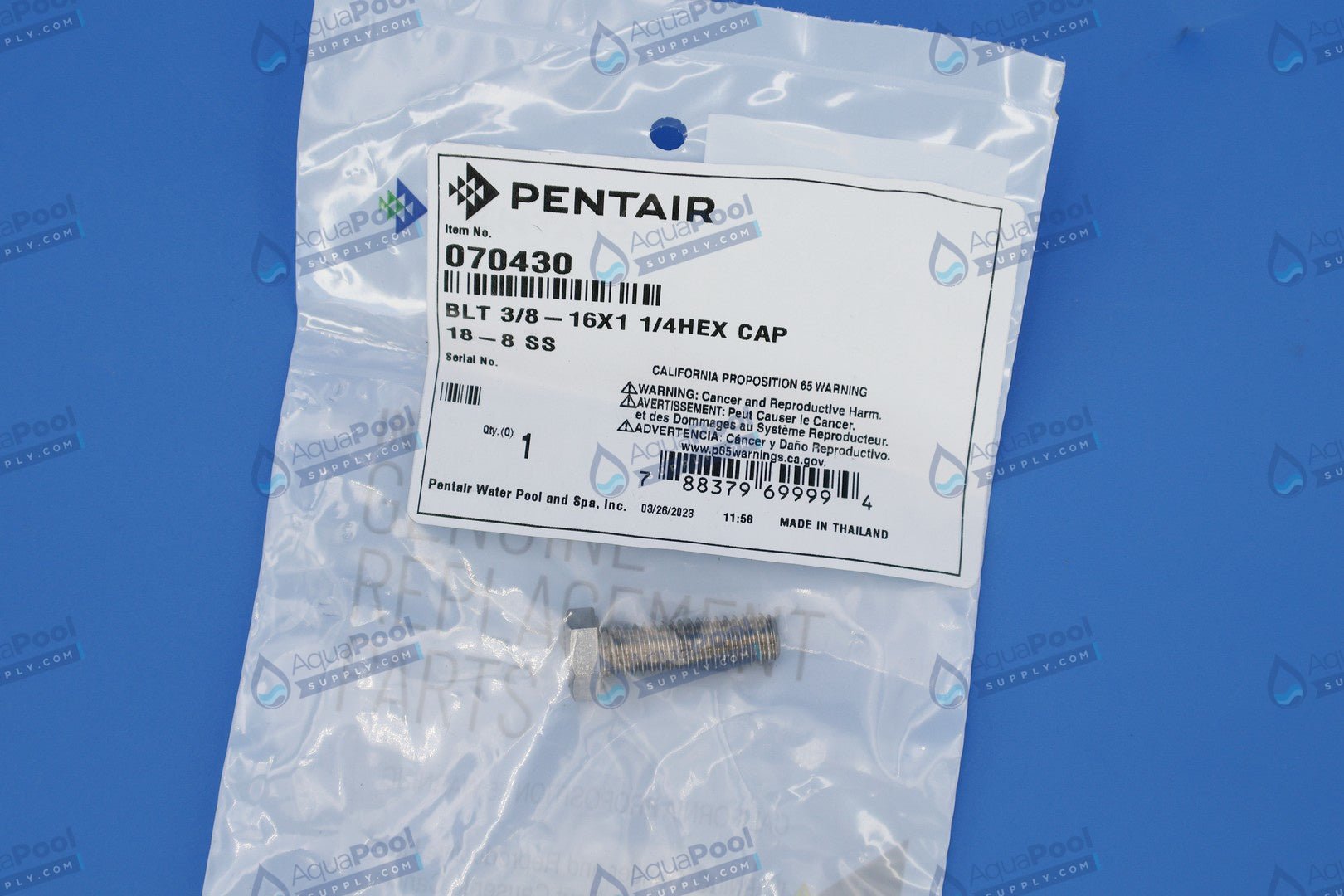 Pentair Whisperflo and Intelliflo Stainless Steel Hex Cap Bolt Replacement 070430 - Pump Parts - img-4